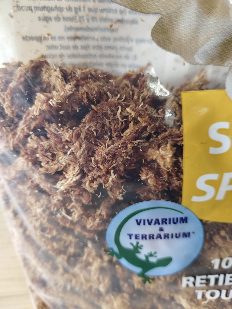 Musgo Sphagnum