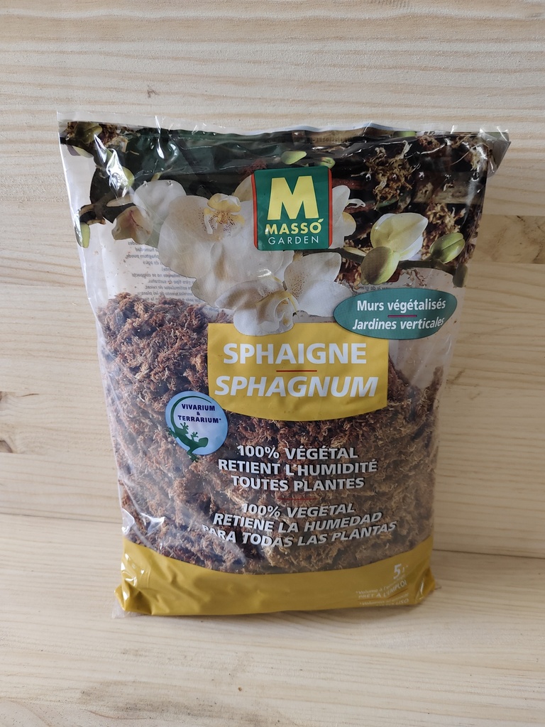 Musgo Sphagnum